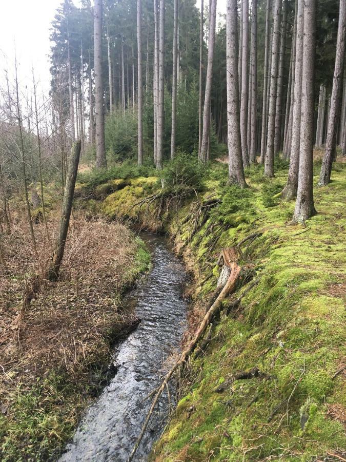 Nature Center Udoli Volavek Weseritz Exteriör bild